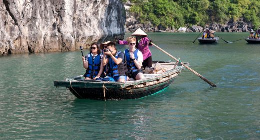 Croisière en bateau en bambou-paloma dans la baie d'Halong