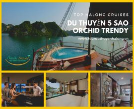 Übersicht Orchidee Trendy Cruises- Lächelnreisen