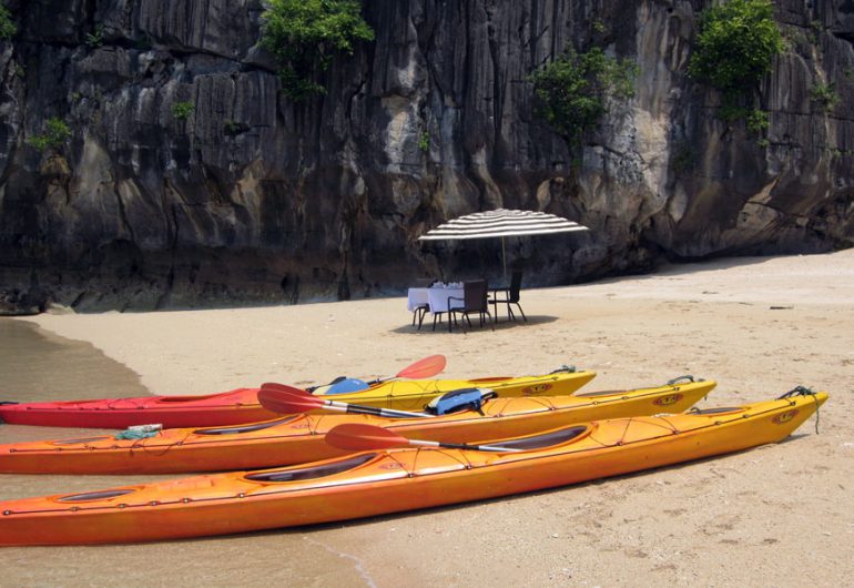 cruceros con delfines blancos en Halong- kayak