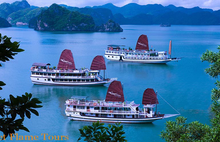 cruceros en cisne por la bahía de Halong y la bahía de Bai Tu Long