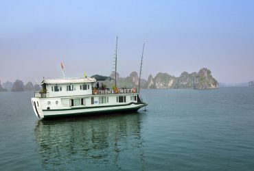 petit white dolphin cruise halong view