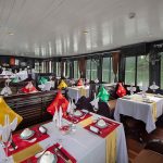 Halong genesis luxury day cruise