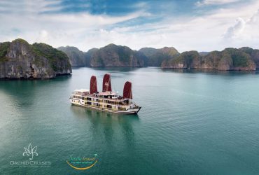 Orchid Classic Cruise Halong Bay-Lan Ha Bay