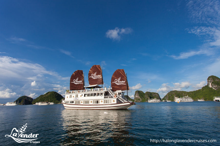 Lavender Cruises Halong Bay& Lan Ha ທ່ານ.