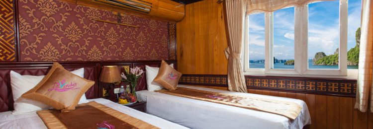 lavender-cruises-cabin-
